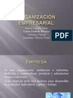 Organizacion Empresarial