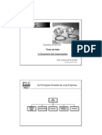 Dinamismo das Organiza-_es.pdf