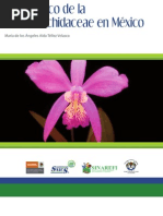 Download Diagnostico de La Familia Orchidaceae en Mexico by Juander Glad SN159619734 doc pdf