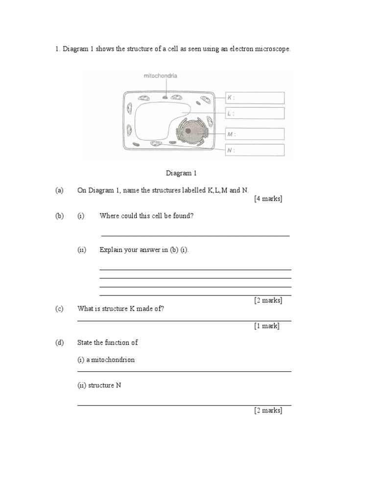 Soalan Latihan Biologi Tingkatan 4 Bab 2 Lem Contoh Riset