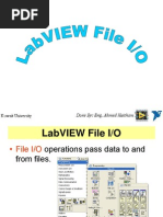 Labview File Io