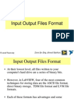 Input Output Files Format