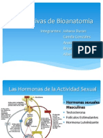 Diapositivas de Bioanatomia