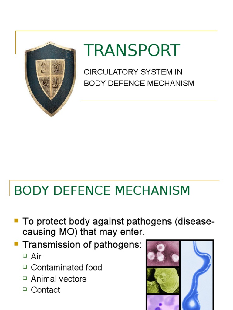 Body Defence Mechanism Immune System