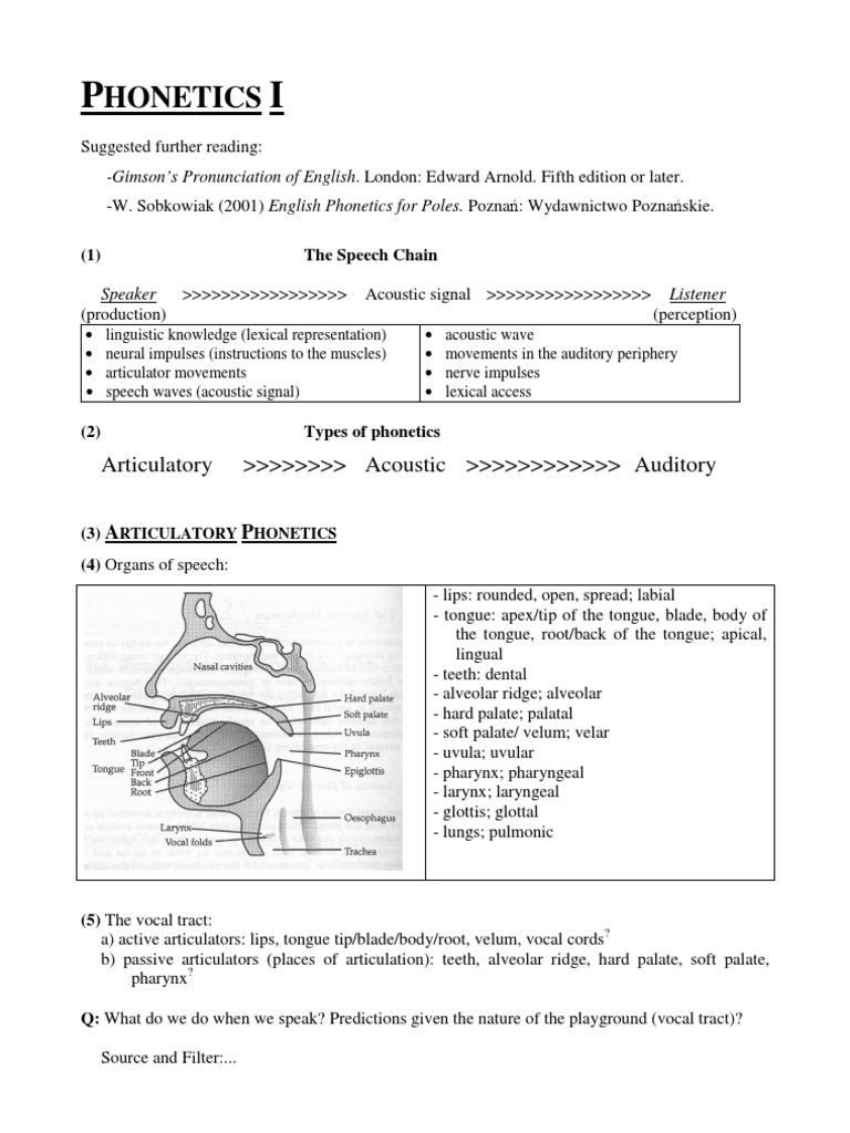 An Introduction to The Speech Chain, Types of
