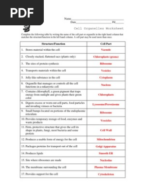 Cell Structure Worksheet Answer Key