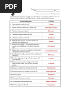 Printables Cell Organelles Worksheet Answers cell organelles worksheet key organelle key