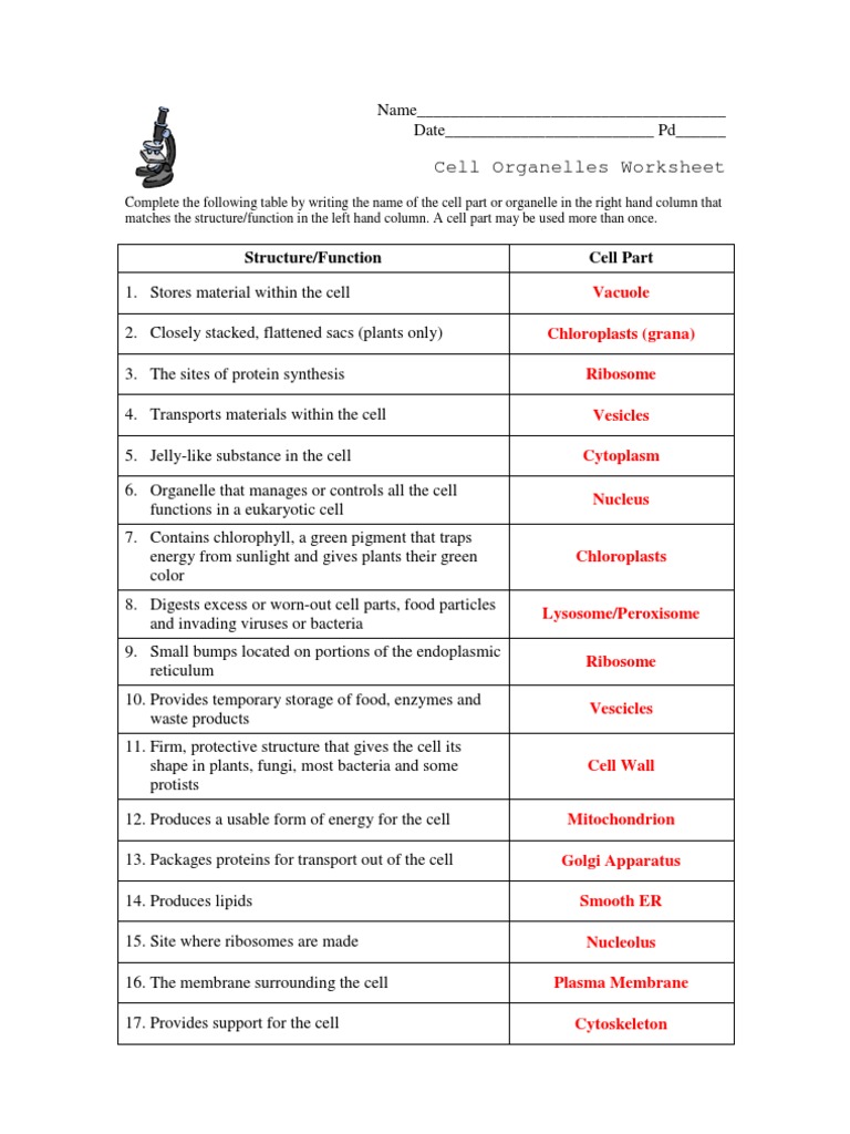Cell Structure Worksheet Answers Worksheet List