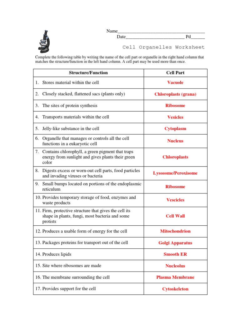 Cell Organelles Worksheet Key Cell Biology Cell Membrane