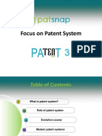 Focus On Patent System