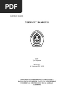 Sikkahoder Nefropati Diabetik  Patofisiologi Patologi