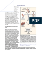 Basic Iron Metabolism