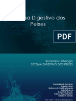 peixes grande criação