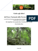 Riconoscimento Foreste Casentinesi
