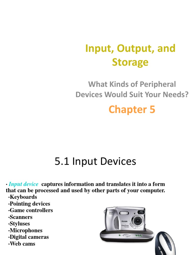 Input, Output, and Storage PDF Disk Storage Floppy Disk