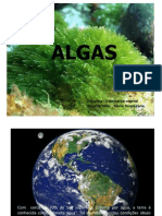 Apresentação Algas I