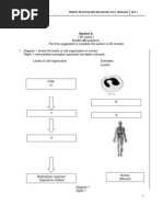 Paper 2 Question