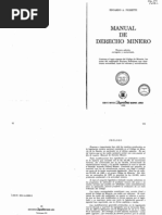 Manual de Derecho Minero Pigretti
