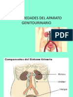 Infecciones Del Tracto Urinario