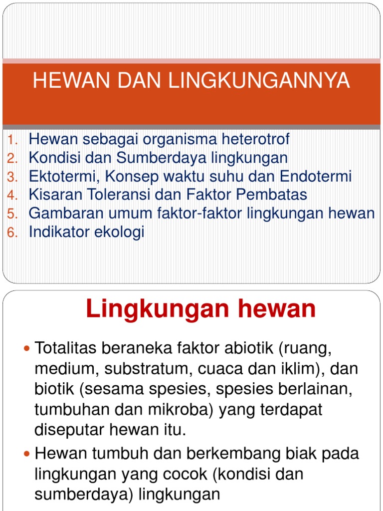 6600 Koleksi Gambar Hewan Dan Lingkungannya Gratis Terbaik