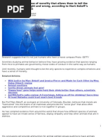 Download Is SENSE of Right and Wrong Based Or Can We Know That by vegetarian SN15979677 doc pdf