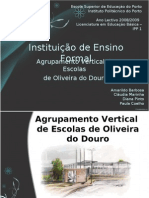 Agrupamento Vertical Oliveira Douro