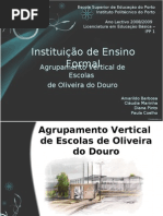 Agrupamento Vertical Oliveira Douro