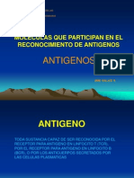 Presentacion_antigenos