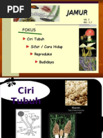 Download JAMUR by chi_h4ns2736 SN15985298 doc pdf