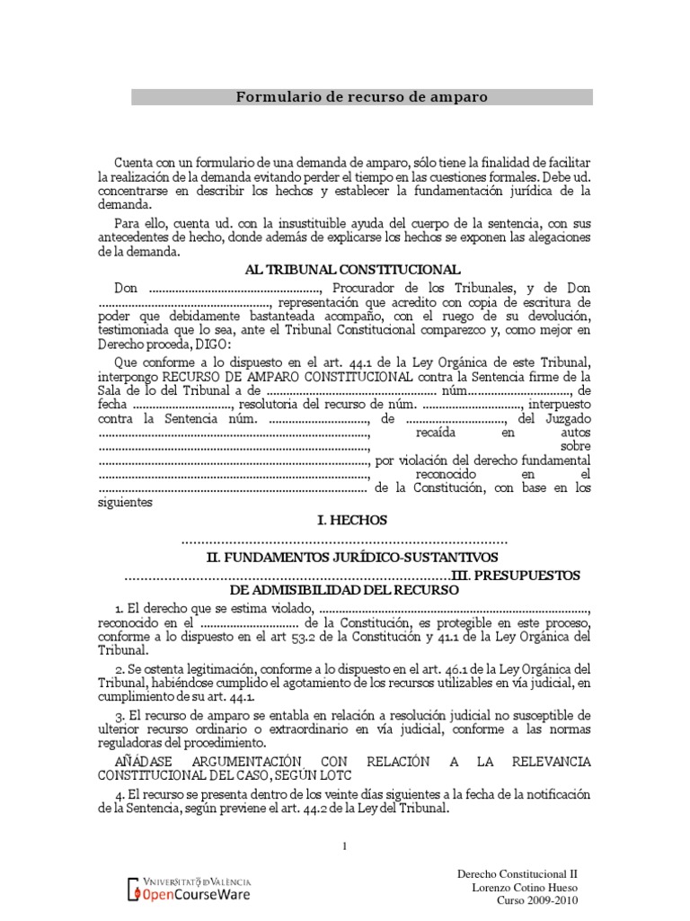Formulario de Recurso de Amparo | PDF | Derecho Constitucional ...