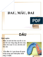 DẤU, MẪU, ĐAI