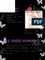 El Oido Humano