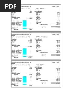 Payslip
