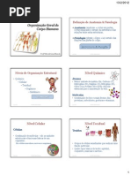 1. Organizacao Geral Do Corpo Humano