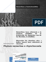 Rincocele, probóscide y mandíbula en nemertinos y gnatostomúlidos