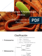 Clasificacion de Parasitos