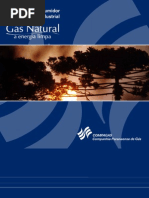 Manual_industrial Gas Natural