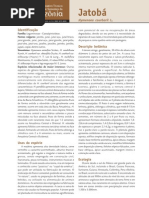 9_Jatoba