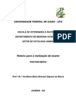 Original Roteiro Necropsia PDF