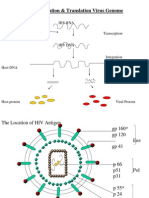 Algoritme Scrining Hiv