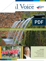 Local Voice & Financial Report August 2013
