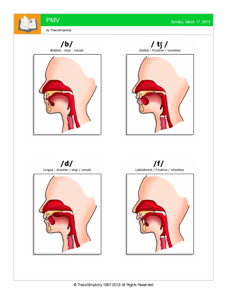 Palatogram Analysis in PMV | PDF