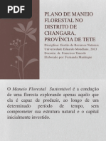Plano de Maneio Florestal No Distrito de Changara.