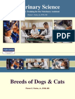 Cats & Dogs - Breeds