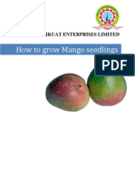 Mango How To