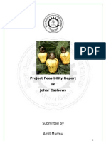 Cashews Nut Project Report Feasibility