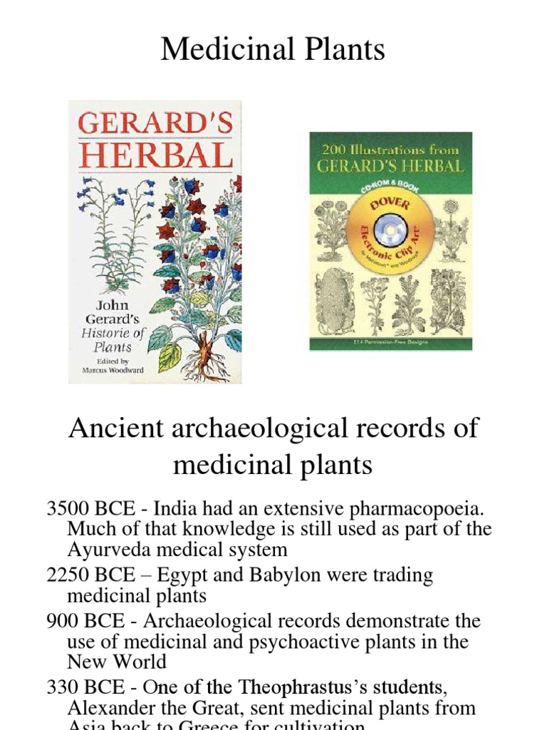 Medicinal Plants | PDF | Herbalism | Botany