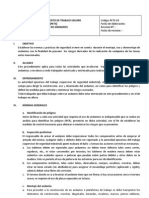 Procedimiento Escrito de Trabajo Seguro - Armado de Andamios