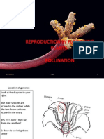 Pollination