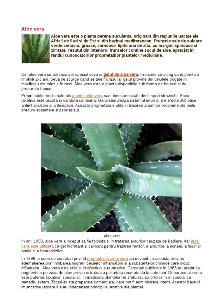 Aloe Vera | PDF